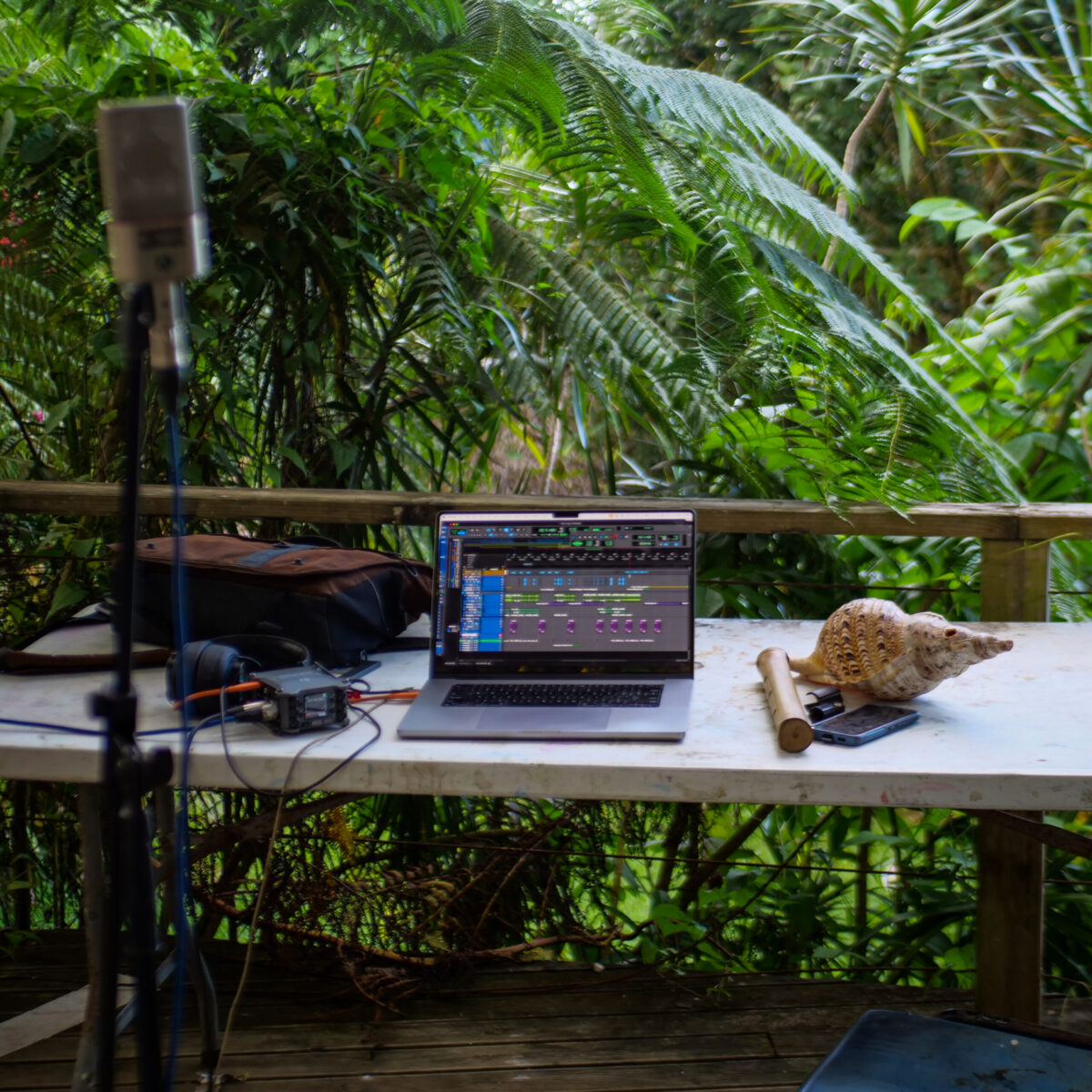 Tiapapata Studio, Samoa